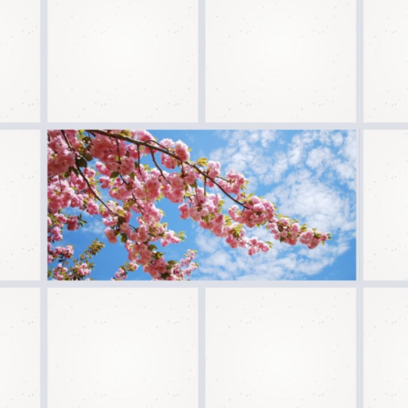 Dalle LED 120×60 cm Format Couloir — Plafond LED Panoramique